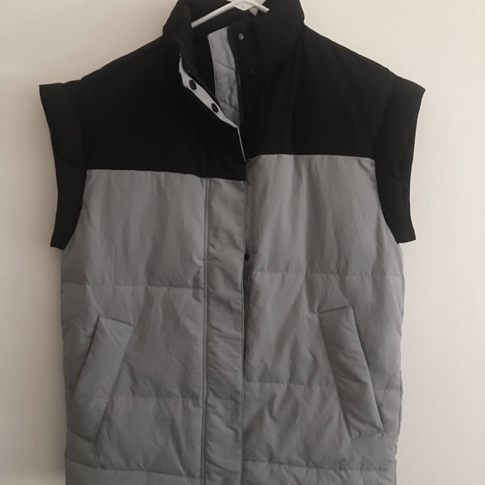 Everlane Puffer Vest